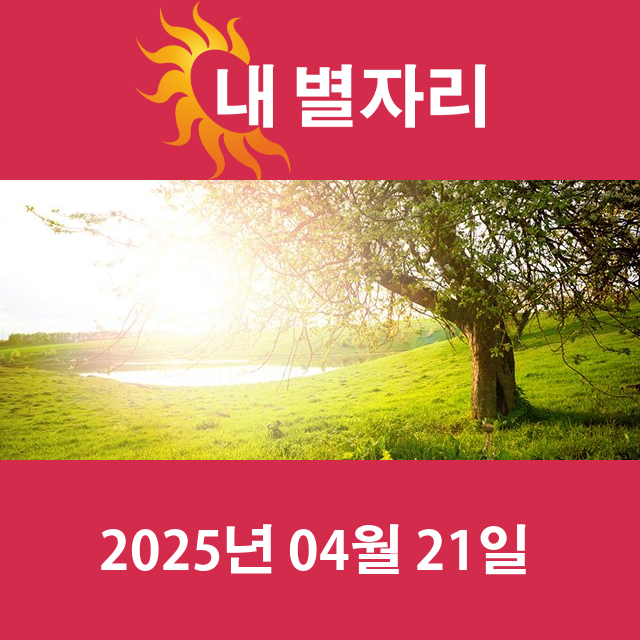 2025년4월21일의 일일 운세 예측