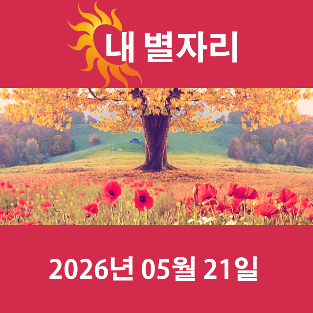 2026년5월21일의 일일 운세 예측