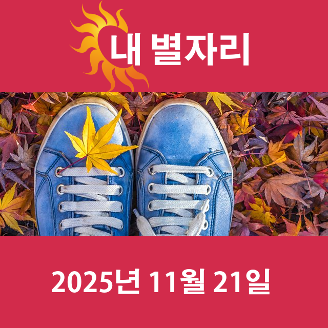 2025년11월21일의 일일 운세 예측