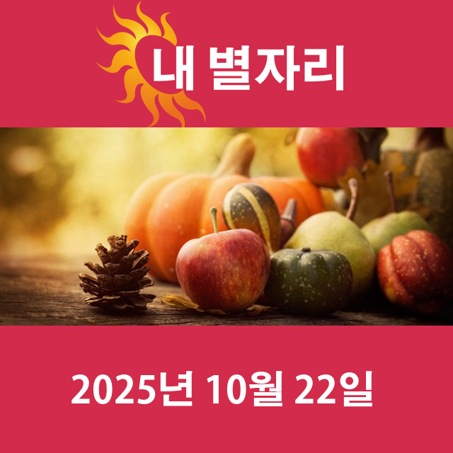 2025년10월22일의 일일 운세 예측