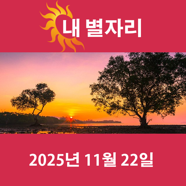 2025년11월22일의 일일 운세 예측