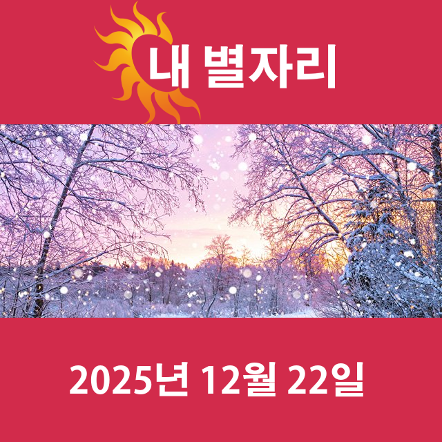 2025년12월22일의 일일 운세 예측