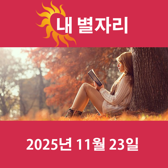 2025년11월23일의 일일 운세 예측