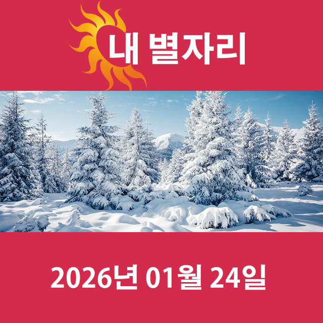 2026년1월24일의 일일 운세 예측
