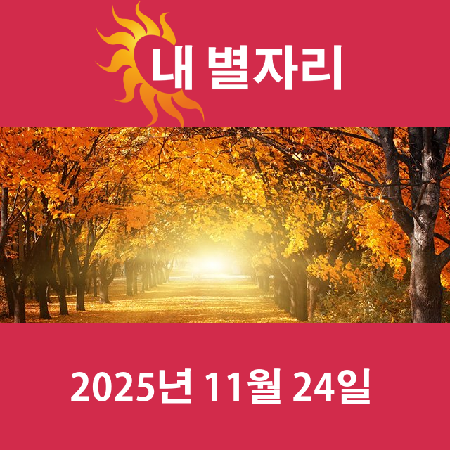 2025년11월24일의 일일 운세 예측
