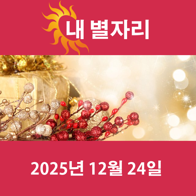 2025년12월24일의 일일 운세 예측