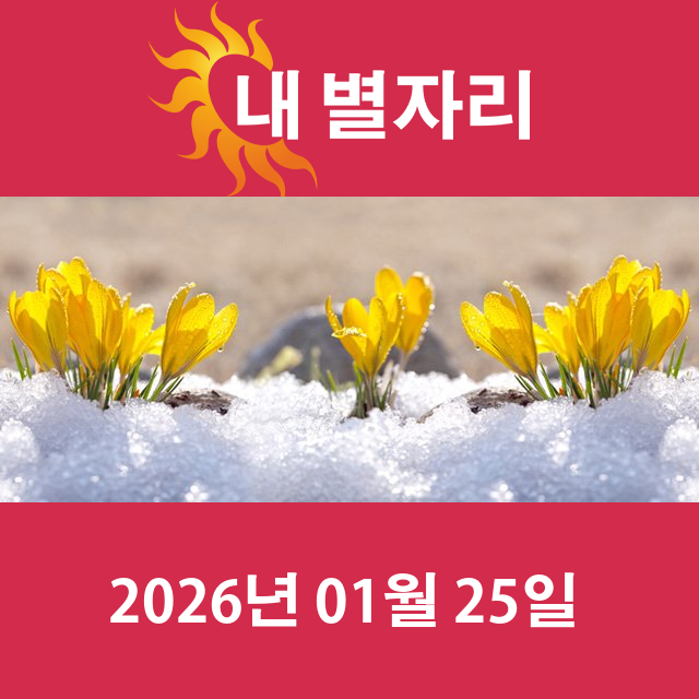 2026년1월25일의 일일 운세 예측