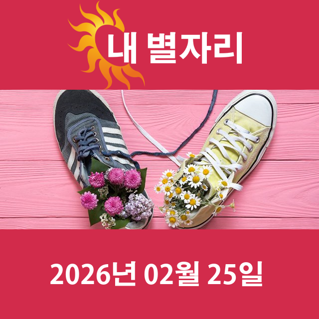 내일의 황소자리 운세: 사랑, 돈, 일에 대한 예측...