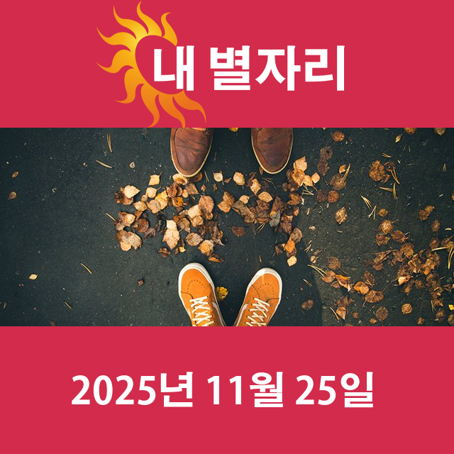 2025년11월25일의 일일 운세 예측