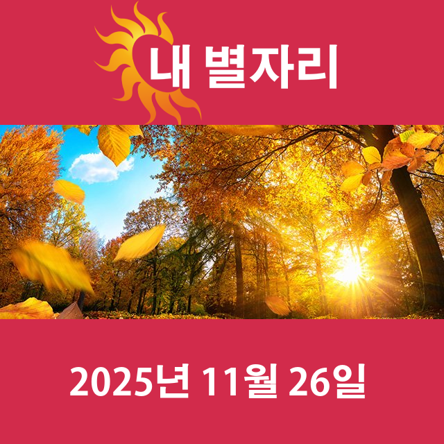 2025년11월26일의 일일 운세 예측