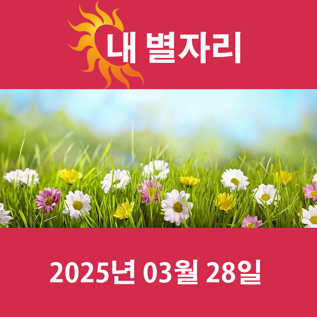 2025년3월28일의 일일 운세 예측
