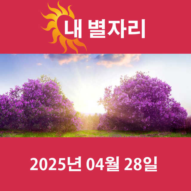 2025년4월28일의 일일 운세 예측