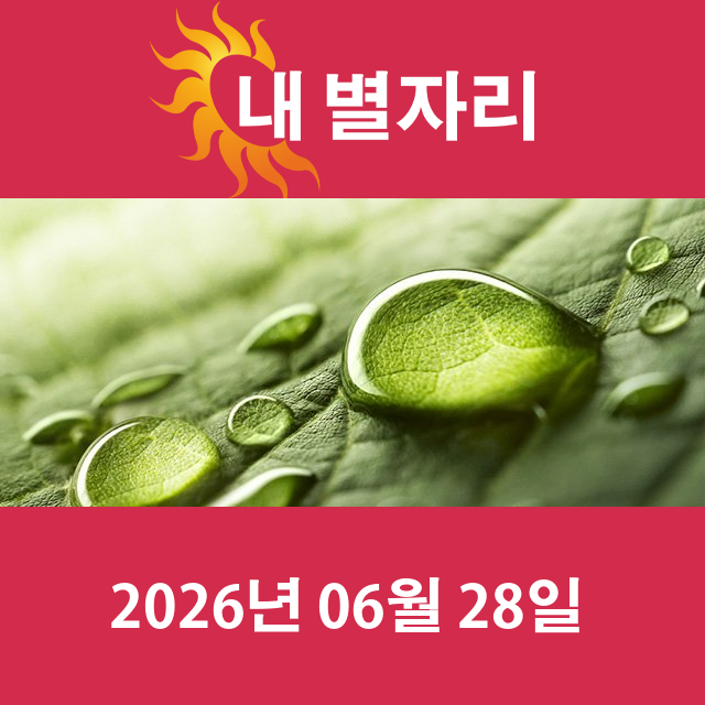 2026년6월28일의 일일 운세 예측