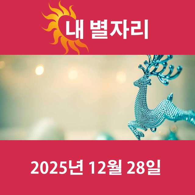 2025년12월28일의 일일 운세 예측