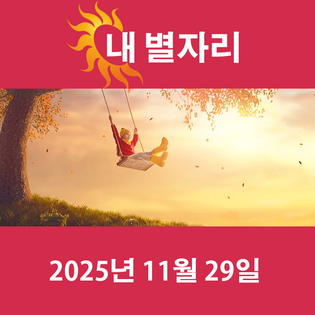 2025년11월29일의 일일 운세 예측