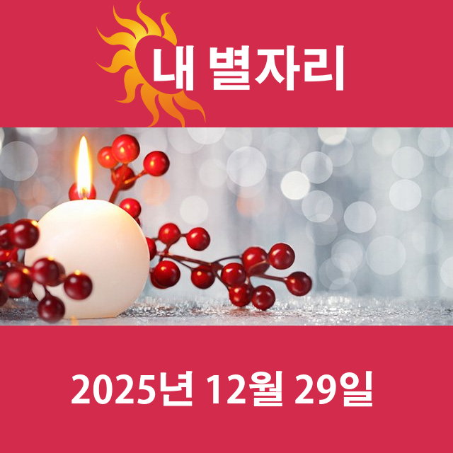 2025년12월29일의 일일 운세 예측
