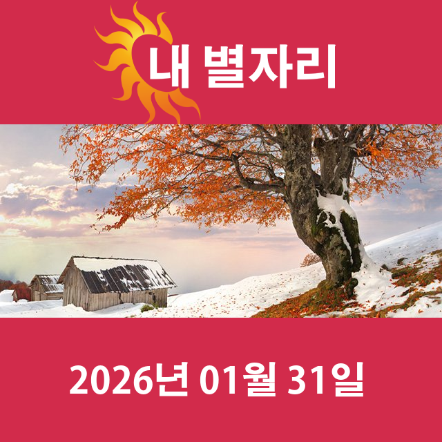2026년1월31일의 일일 운세 예측