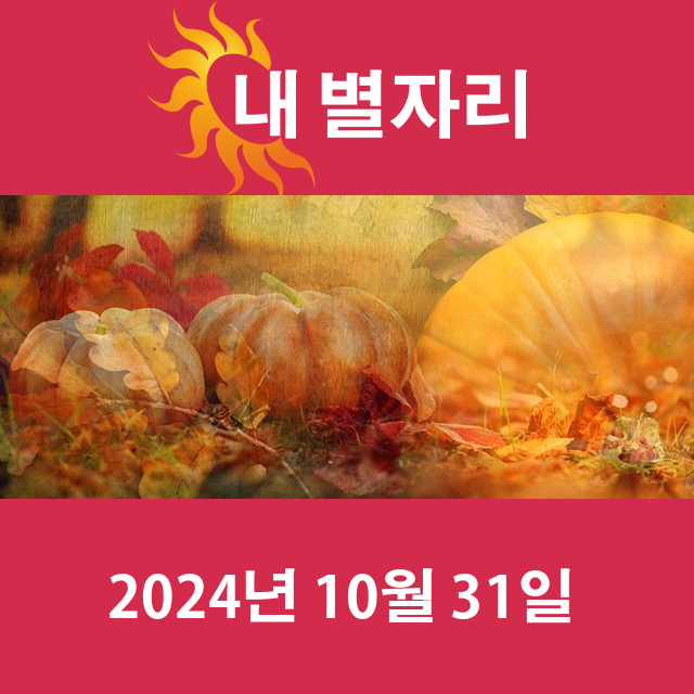 2024년10월31일의 일일 운세 예측
