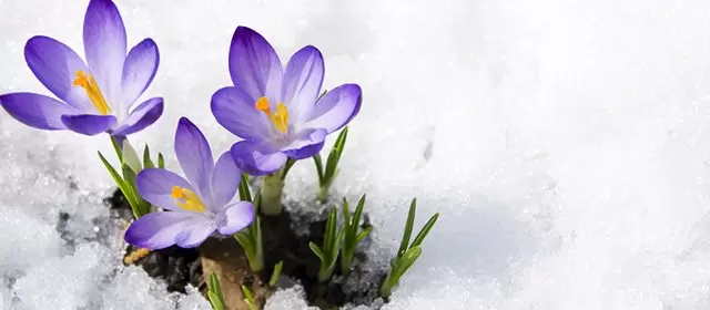 운세 날짜 수요일 7 1월 2026