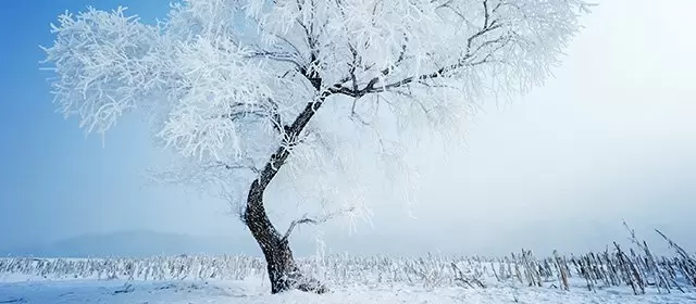 운세 날짜 금요일 9 1월 2026