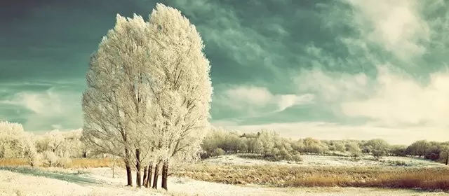 운세 날짜 수요일 14 1월 2026