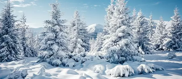 운세 날짜 토요일 24 1월 2026