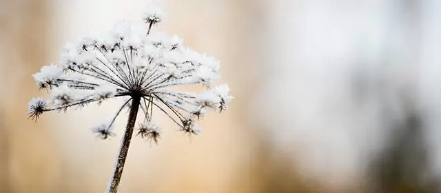 운세 날짜 화요일 3 2월 2026