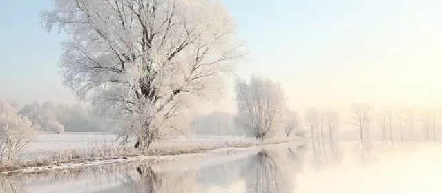운세 날짜 수요일 4 2월 2026