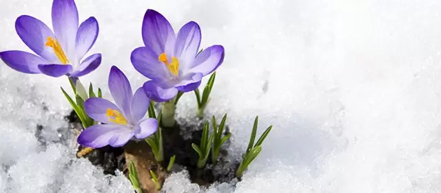 운세 날짜 목요일 5 2월 2026