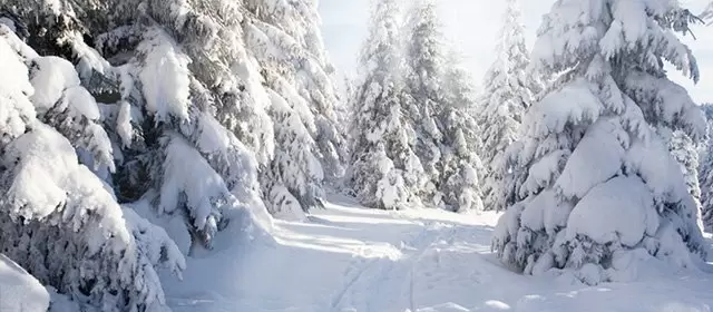 운세 날짜 수요일 11 2월 2026