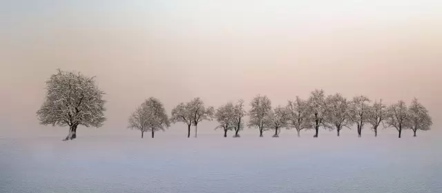 게자리 주간 운세