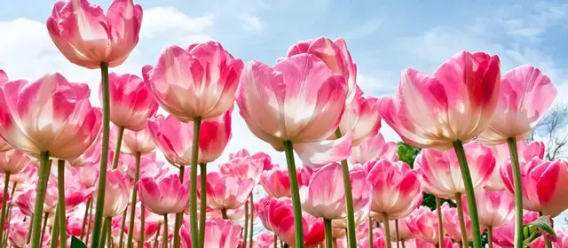 운세 날짜 토요일 7 3월 2026