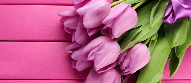 운세 날짜 일요일 8 3월 2026