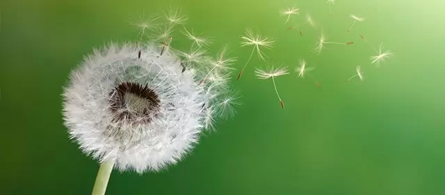 운세 날짜 수요일 11 3월 2026