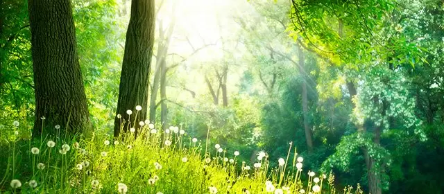 운세 날짜 금요일 13 3월 2026