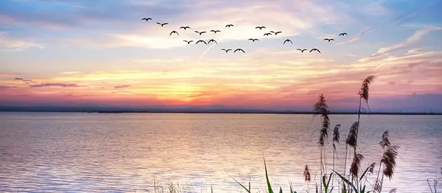 운세 날짜 월요일 16 3월 2026