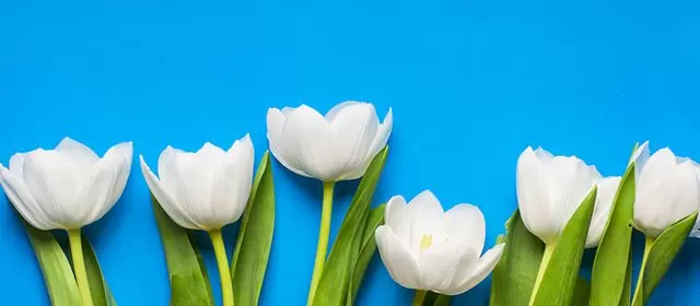 운세 날짜 수요일 18 3월 2026