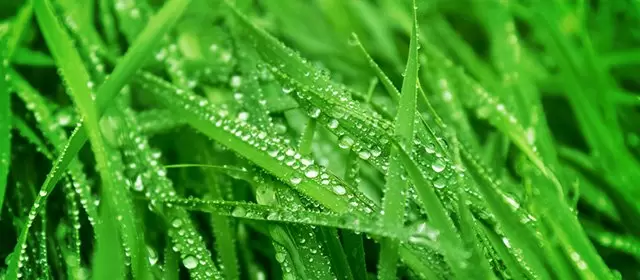 운세 날짜 금요일 20 3월 2026