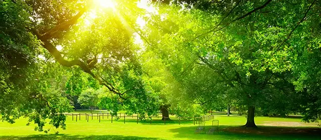 운세 날짜 일요일 22 3월 2026