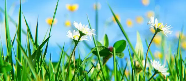 운세 날짜 금요일 3 4월 2026