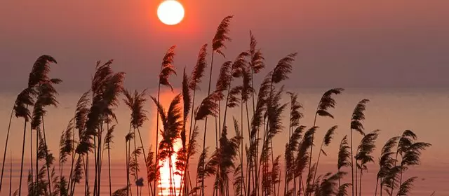 운세 날짜 일요일 5 4월 2026