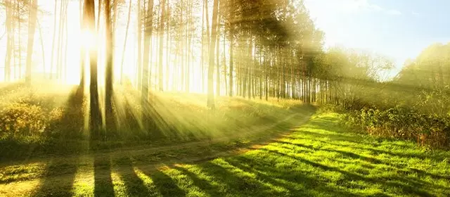 운세 날짜 화요일 7 4월 2026