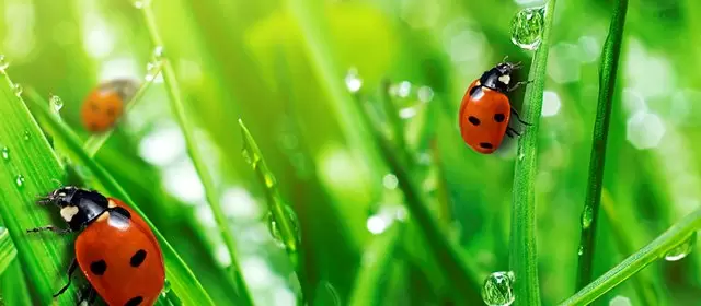 운세 날짜 일요일 12 4월 2026