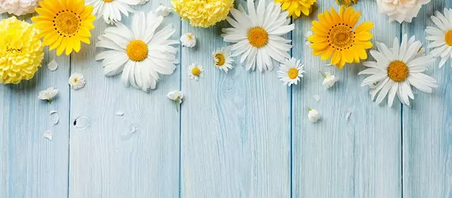 운세 날짜 일요일 19 4월 2026