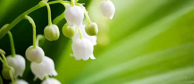 운세 날짜 토요일 2 5월 2026