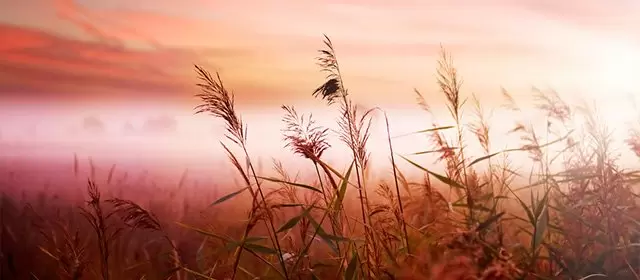 운세 날짜 화요일 5 5월 2026