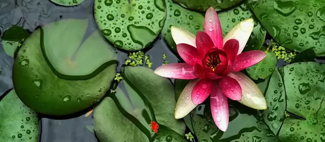운세 날짜 화요일 3 6월 2025