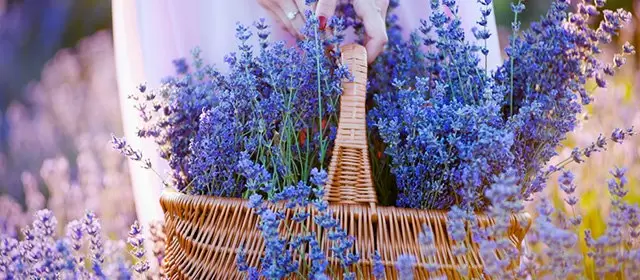 운세 날짜 수요일 11 6월 2025