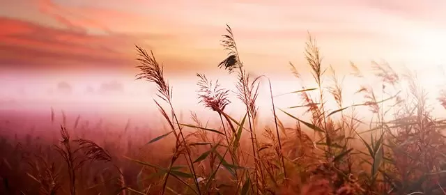 운세 날짜 화요일 4 11월 2025