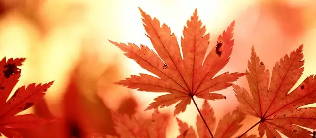 운세 날짜 토요일 8 11월 2025